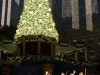 Thanksgiving performance at Orlando's Gaylord Palms Resort